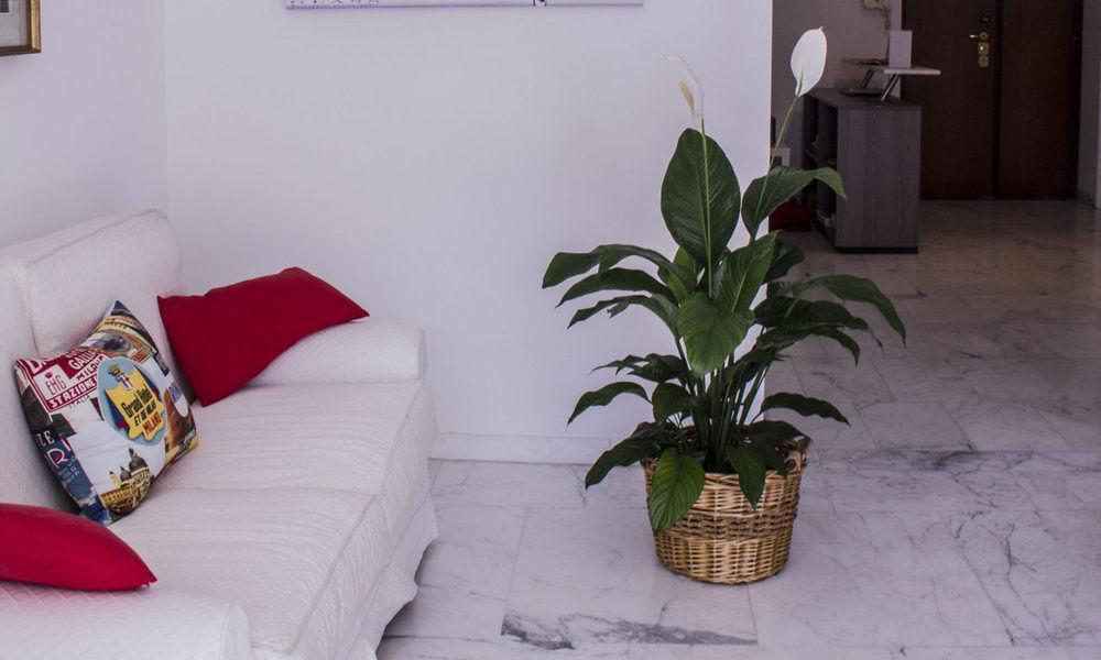 Bed and breakfast Domus Raffaello